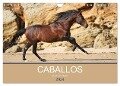 Caballos Spanische Pferde 2024 (Wandkalender 2024 DIN A4 quer), CALVENDO Monatskalender - Petra Eckerl Tierfotografie
