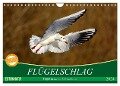 Flügelschlag - Vögel in ihrem natürlichen Lebensraum (Wandkalender 2024 DIN A4 quer), CALVENDO Monatskalender - Axel Kottal Claudia Elsner