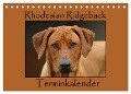 Rhodesian Ridgeback Terminkalender (Tischkalender 2024 DIN A5 quer), CALVENDO Monatskalender - Anke van Wyk - www. germanpix. net