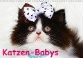 Katzen-Babys (Wandkalender immerwährend DIN A3 quer) - Elisabeth Stanzer