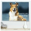 Ein Freund fürs Leben - Smooth Collie (hochwertiger Premium Wandkalender 2025 DIN A2 quer), Kunstdruck in Hochglanz - Sigrid Starick