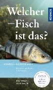 Welcher Fisch ist das? - Matthias Bergbauer