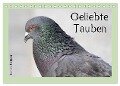 Geliebte Tauben (Tischkalender 2024 DIN A5 quer), CALVENDO Monatskalender - Ramona Meißner