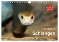Gefährliche Schlangen (Wandkalender 2024 DIN A4 quer), CALVENDO Monatskalender - Michael Herzog