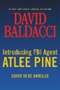 Cover-Bild zum Titel 'Long Road to Mercy' von 'David Baldacci'