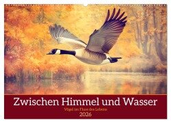 Zwischen Himmel und Wasser (Wandkalender 2026 DIN A2 quer), CALVENDO Monatskalender - Daniela Tapper