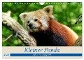 Kleiner Panda auf Entdeckungstour (Wandkalender 2024 DIN A4 quer), CALVENDO Monatskalender - Peter Hebgen