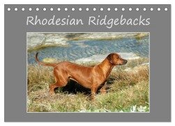 Rhodesian Ridgebacks (Tischkalender 2025 DIN A5 quer), CALVENDO Monatskalender - Anke van Wyk - www. germanpix. net