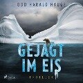Cover-Bild zum Titel 'Gejagt im Eis - Thriller' von 'Odd Harald Hauge'