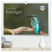 Eisvögel (hochwertiger Premium Wandkalender 2026 DIN A2 quer), Kunstdruck in Hochglanz - Ursula Di Chito