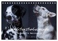 charakterstarke Hunde, wunderschöne Hundeportraits (Tischkalender 2024 DIN A5 quer), CALVENDO Monatskalender - Susanne Stark Sugarsweet - Photo
