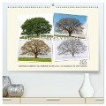 Vier Jahreszeiten der Eiche. (hochwertiger Premium Wandkalender 2025 DIN A2 quer), Kunstdruck in Hochglanz - Ingo Gerlach