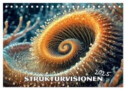 Strukturvisionen (Tischkalender 2025 DIN A5 quer), CALVENDO Monatskalender - Werner Braun