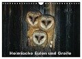 Heimische Eulen und Greife (Wandkalender 2024 DIN A4 quer), CALVENDO Monatskalender - Günter Bachmeier