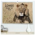 Löwen - Könige der Tiere (hochwertiger Premium Wandkalender 2024 DIN A2 quer), Kunstdruck in Hochglanz - Stefan Sander