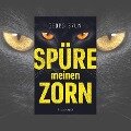 Cover-Bild zum Titel 'Spüre meinen Zorn' von 'Georg Brun'