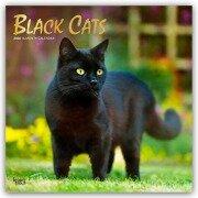 Cover-Bild zum Titel 'Black Cats - Schwarze Katzen 2026 - 16-Monatskalender' von 'Browntrout Publishers'