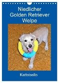 Niedlicher Golden Retriever Welpe (Wandkalender 2024 DIN A4 hoch), CALVENDO Monatskalender - Kattobello Kattobello