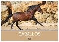 Caballos Spanische Pferde 2025 (Tischkalender 2025 DIN A5 quer), CALVENDO Monatskalender - Petra Eckerl Tierfotografie