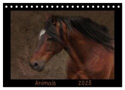 Animals (Tischkalender 2025 DIN A5 quer), CALVENDO Monatskalender - Claudia Möckel Lucy L!u