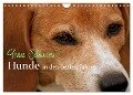 Graue Schnuten - Hunde in den besten Jahren (Wandkalender 2024 DIN A4 quer), CALVENDO Monatskalender - Kerstin Grüttner