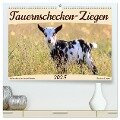 Tauernschecken-Ziegen (hochwertiger Premium Wandkalender 2025 DIN A2 quer), Kunstdruck in Hochglanz - Sabine Löwer