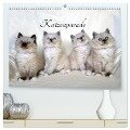 Katzenparade (hochwertiger Premium Wandkalender 2024 DIN A2 quer), Kunstdruck in Hochglanz - Jennifer Chrystal
