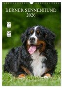 Cover-Bild zum Titel 'Berner Sennenhund 2026 (Wandkalender 2026 DIN A3 hoch), CALVENDO Monatskalender' von 'Sigrid Starick'