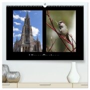 Ulmer Spatzen (hochwertiger Premium Wandkalender 2026 DIN A2 quer), Kunstdruck in Hochglanz - Kattobello Kattobello