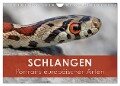 Schlangen - Portraits europäischer Arten (Wandkalender 2024 DIN A4 quer), CALVENDO Monatskalender - Kevin Eßer