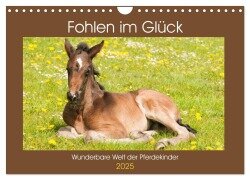 Fohlen im Glück - Wunderbare Welt der Pferdekinder (Wandkalender 2025 DIN A4 quer), CALVENDO Monatskalender - Meike Bölts