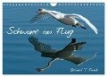 Schwäne im Flug (Wandkalender 2024 DIN A4 quer), CALVENDO Monatskalender - Roland T. Frank