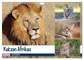 Katzen Afrikas (Wandkalender 2024 DIN A4 quer), CALVENDO Monatskalender - Michael Herzog
