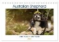 Australian Shepherd - volle Power mit dem Aussie (Tischkalender 2024 DIN A5 quer), CALVENDO Monatskalender - Andrea Mayer Tierfotografie