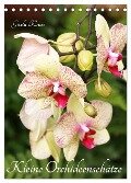 Kleine Orchideenschätze (Tischkalender 2024 DIN A5 hoch), CALVENDO Monatskalender - Gisela Kruse