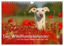 Der Windhundekalender (Wandkalender 2025 DIN A4 quer), CALVENDO Monatskalender - Kathrin Köntopp
