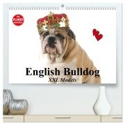 English Bulldog XXL Models (hochwertiger Premium Wandkalender 2026 DIN A2 quer), Kunstdruck in Hochglanz - Elisabeth Stanzer