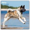 Akitas 2025 - 16-Monatskalender - Avonside Publishing Ltd.