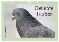 Geliebte Tauben (Wandkalender 2024 DIN A4 quer), CALVENDO Monatskalender - Ramona Meißner
