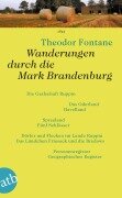 Cover-Bild zum Titel 'Wanderungen durch die Mark Brandenburg' von 'Theodor Fontane'