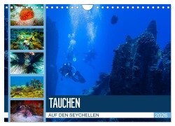 Tauchen auf den Sychellen (Wandkalender 2026 DIN A4 quer), CALVENDO Monatskalender - Dirk Meutzner