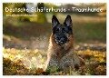Deutsche Schäferhunde - Traumhunde (Wandkalender 2024 DIN A2 quer), CALVENDO Monatskalender - Petra Schiller