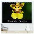 Wunderbare Orchideen (hochwertiger Premium Wandkalender 2024 DIN A2 quer), Kunstdruck in Hochglanz - Jürgen Wöhlke