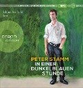 In einer dunkelblauen Stunde - Peter Stamm