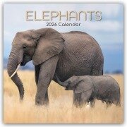 Cover-Bild zum Titel 'Elephants - Elefanten 2026 - 16-Monatskalender' von 'The Gifted'