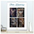 Boho Katzenbabys (hochwertiger Premium Wandkalender 2025 DIN A2 hoch), Kunstdruck in Hochglanz - Steffen Gierok-Latniak