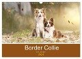 Border Collie - Bunt und clever! (Wandkalender 2024 DIN A3 quer), CALVENDO Monatskalender - Andrea Mayer Tierfotografie
