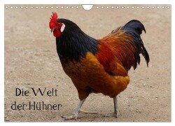 Die Welt der Hühner (Wandkalender 2025 DIN A4 quer), CALVENDO Monatskalender - Kattobello Kattobello