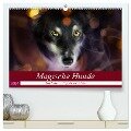 Magische Hunde - Hunde die uns täglich verzaubern (hochwertiger Premium Wandkalender 2024 DIN A2 quer), Kunstdruck in Hochglanz - Andrea Mayer Tierfotografie