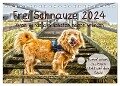 Frei Schnauze 2024. Was Hunde am liebsten sagen würden (Tischkalender 2024 DIN A5 quer), CALVENDO Monatskalender - Steffani Lehmann (Hrsg.